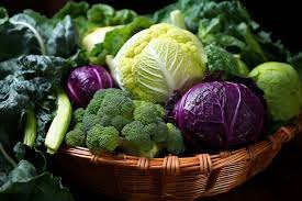 多层过滤存储模式提高大豆质量保持能力