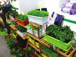 人工智能如何优化小麦基食品研发过程
